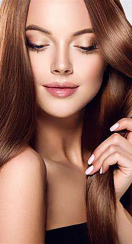 Porduct Category CHEVEUX